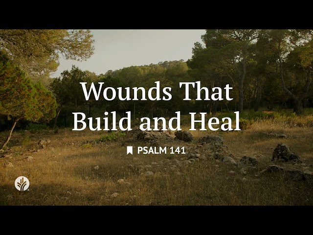 Wounds That Build and Heal | Audio Reading | Our Daily Bread Devotional | August 16, 2026