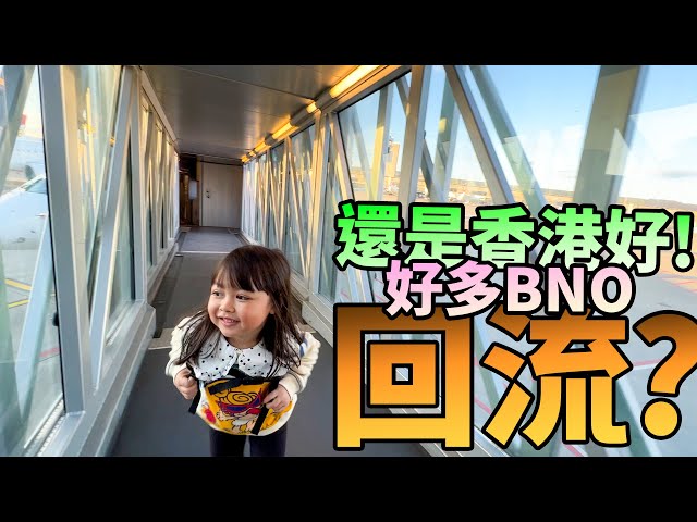 Y.T.熱爆影片🏆 BNO回流潮✈️後悔未太遲「出走先知家嘅好🇭🇰我真係好鍾意香港」