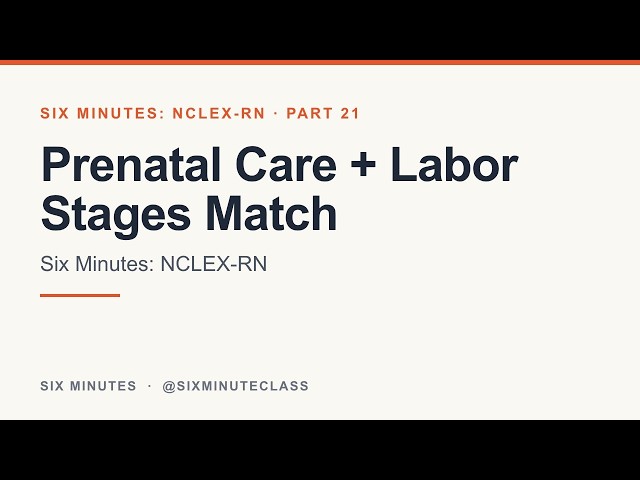 Prenatal Care and Labor and Delivery Stages | Six Minutes: NCLEX-RN, Part 21