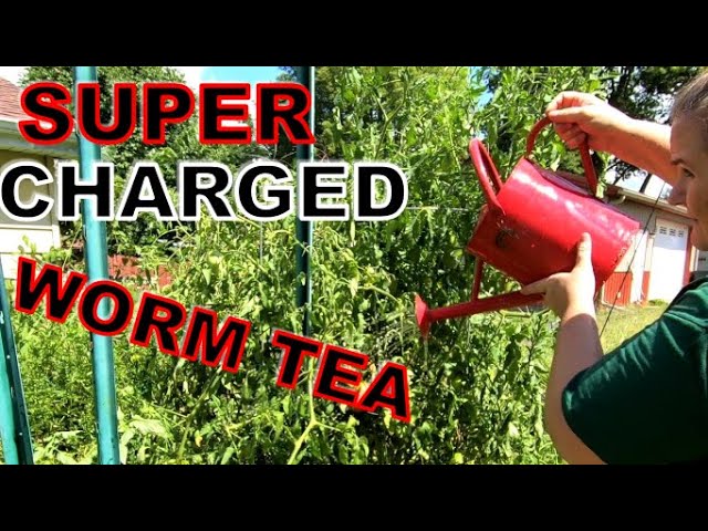 Supercharged Worm Compost Tea- Pest protection and foliar feed