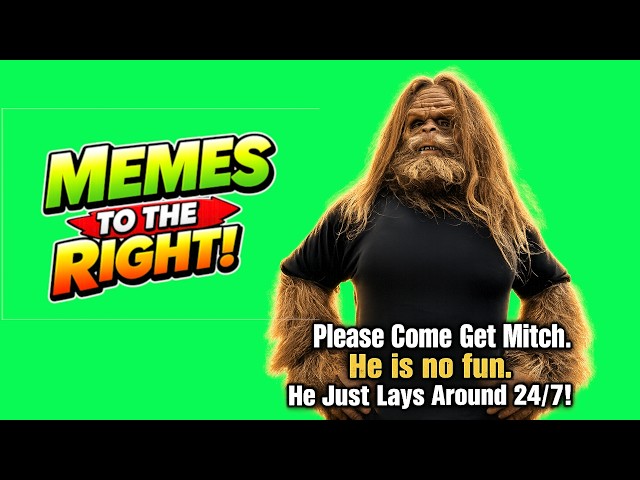 He is No Fun: Memes That Expose Everything