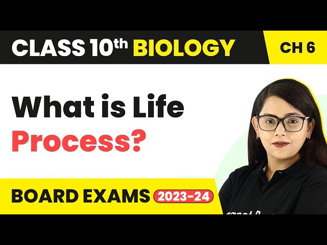What is Life Process? | Class 10 Science Biology Chapter 6 | Class 10 Science