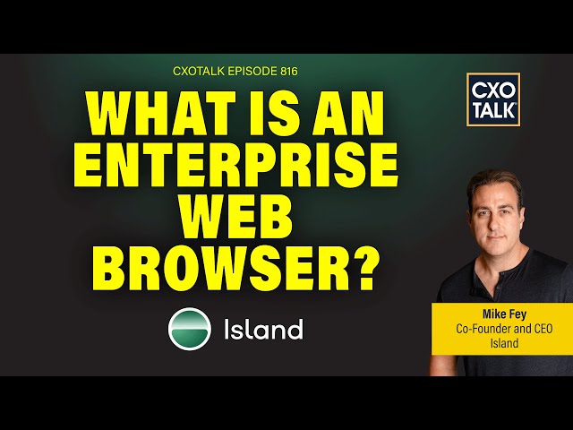 Enterprise Web Browser: Security and Productivity (with Island.io) | CXOTalk #816