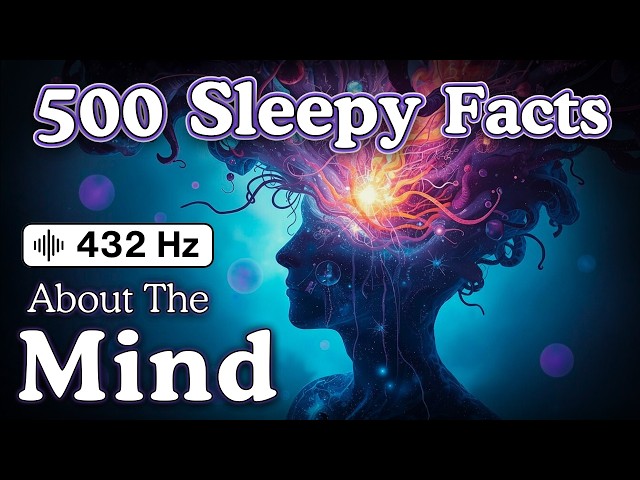 10 Hours — Facts About The Mind to Fall Asleep To — No Adverts