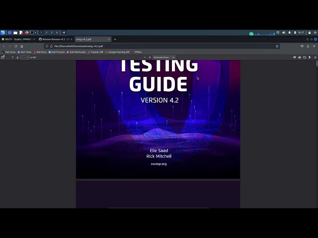 3  OWASP Web Security Testing Guide