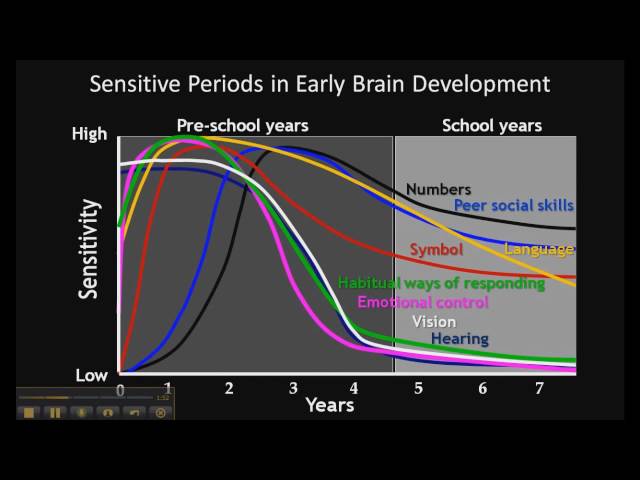 The Importance of Early Child Development