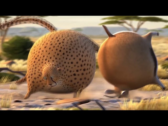 Funny Fat Animals -   Short Animated Film
