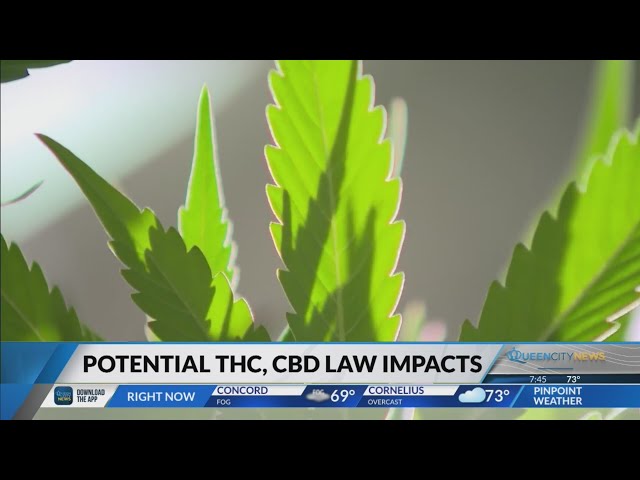Legal Analyst: Federal, NC officials eye stricter THC, CBD limits