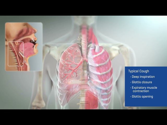 3D Animation Video | Cough