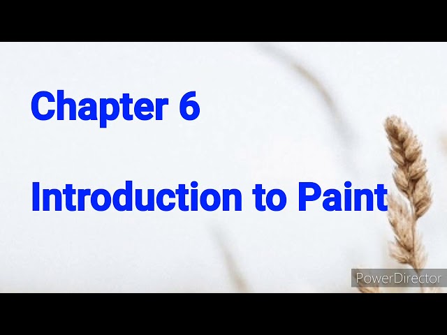 Computer Class 2 Chapter 6 Introduction to Paint (Ribbon, tabs, drawing area and pencil tool)
