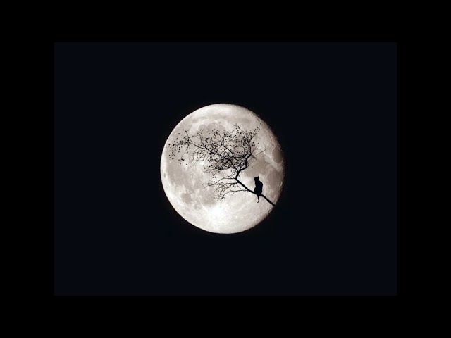 Future Skyline - Silent Moon
