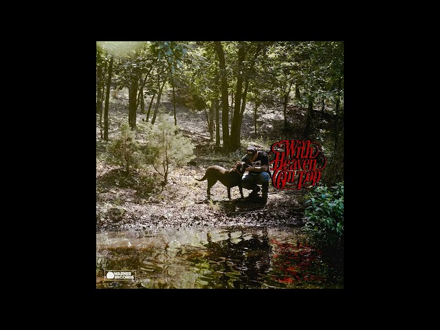 Zach Bryan - Plastic Cigarette