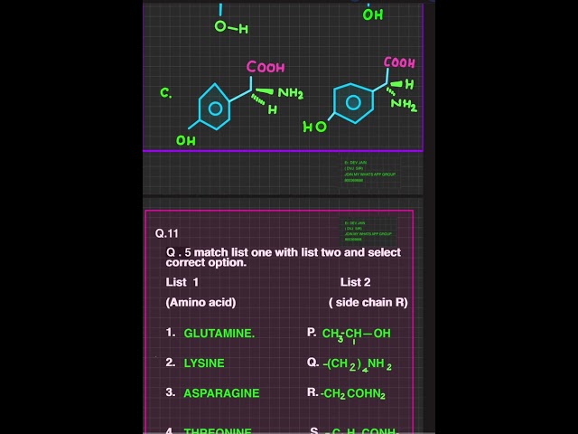BIOMOLECULE QUIZ 2 ( PROTIENS) 2026