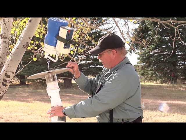 Setting CDC trap