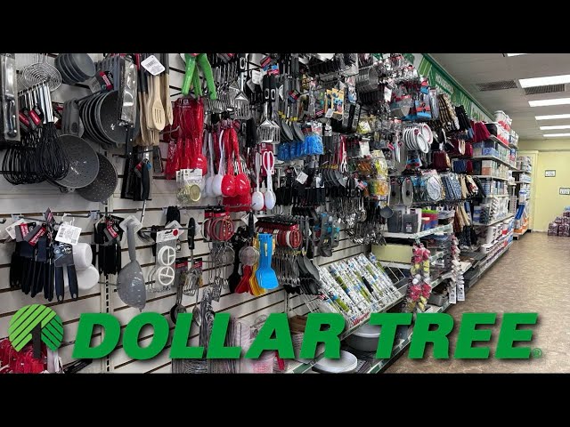 DOLLAR TREE🚨NEW ARRIVALS ARE HERE FOR $1.25… #dollartree #shopping #new 