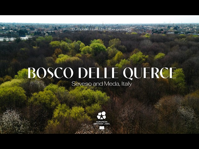 Bosco Delle Querce (Italy)  - European Heritage Label Site 2025