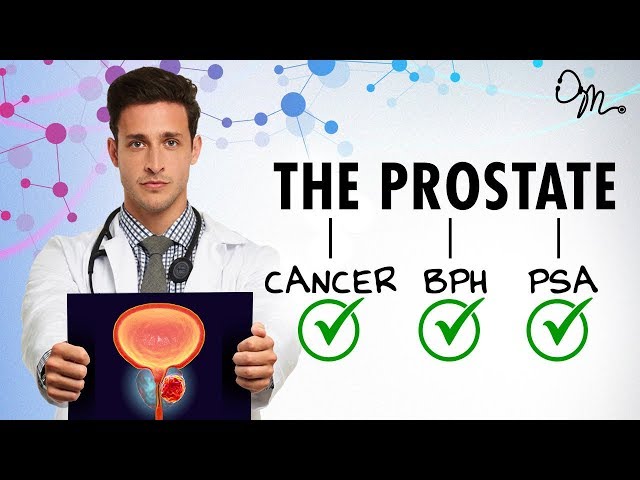 WHAT IS THE PROSTATE? | BPH + Cancer + PSA + More! | Doctor Mike