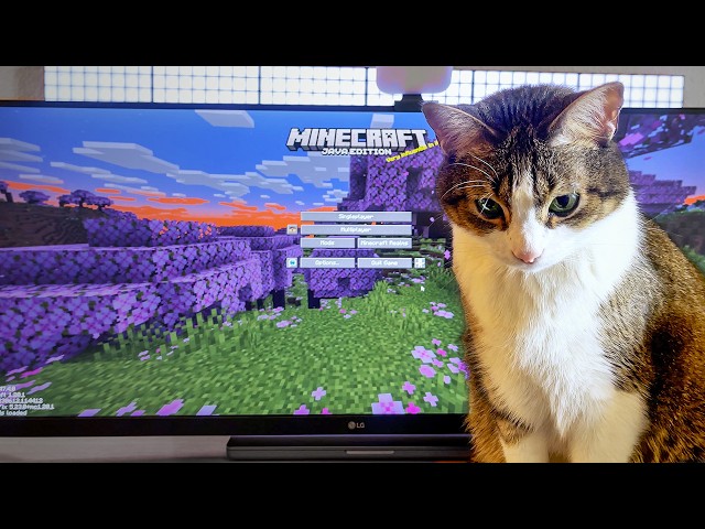 24/7 Until 1k Subs Gullycraft Live Map