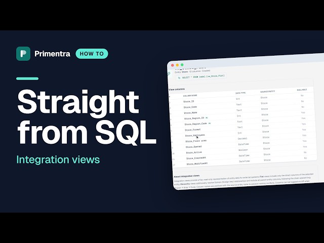 How to expose master data as a SQL view in Primentra