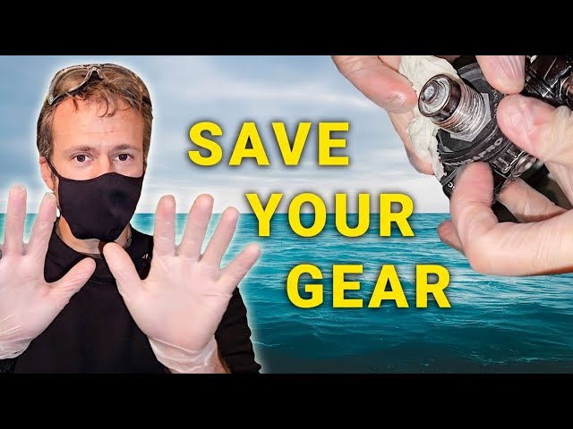 Scuba Equipment Maintenance You Need To Do NOW