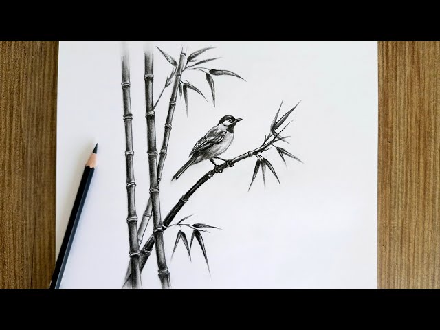Realistic Bird Drawing Step by Step / Pencil Drawing Tutorial