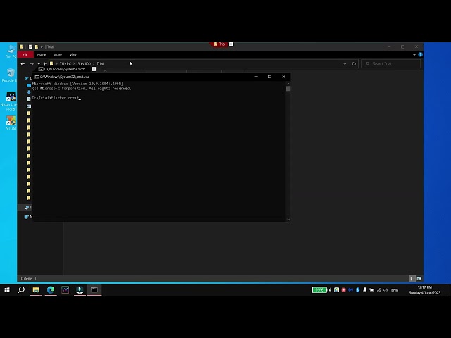 Crear un proyecto de flutter con cmd o la terminal en vs code