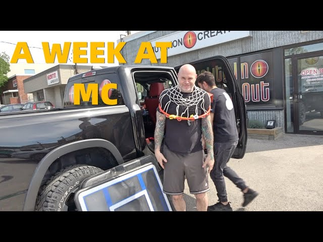 MC BTS | What A Week Looks Like As A Ball Python Breeder !!