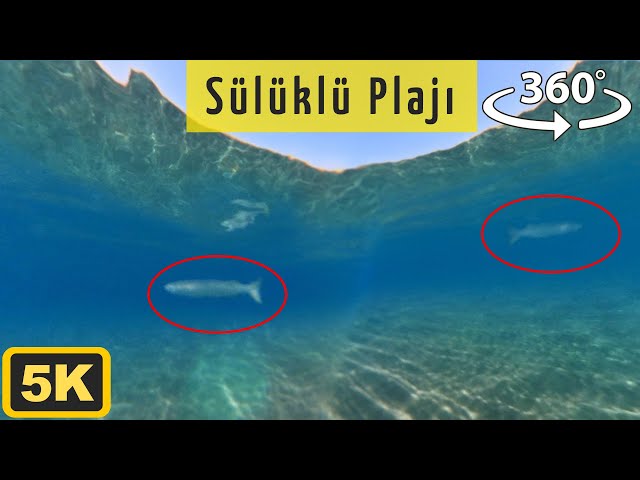 Sülüklü Plajı Sualtı Görüntüleri 5K 360 Video (Antalya)