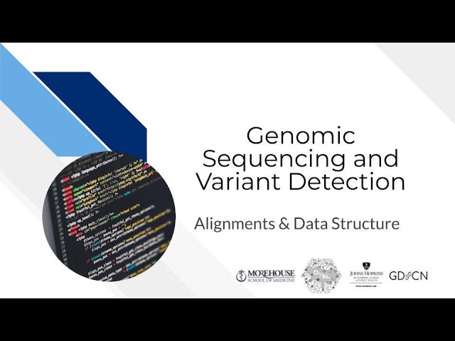 Alignments & data structure