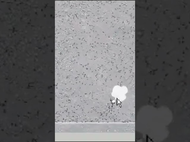 Ant Colony Optimization (ACO): Top Efficiency Hack For Better Organization | Ingenius Nature