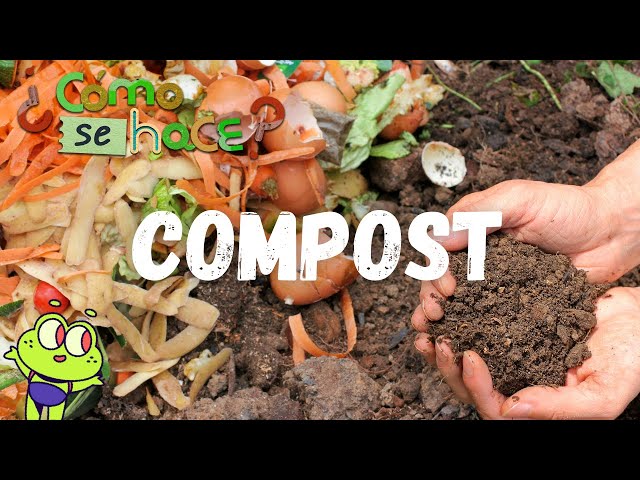 Cómo se hace el compost explicado para niños
