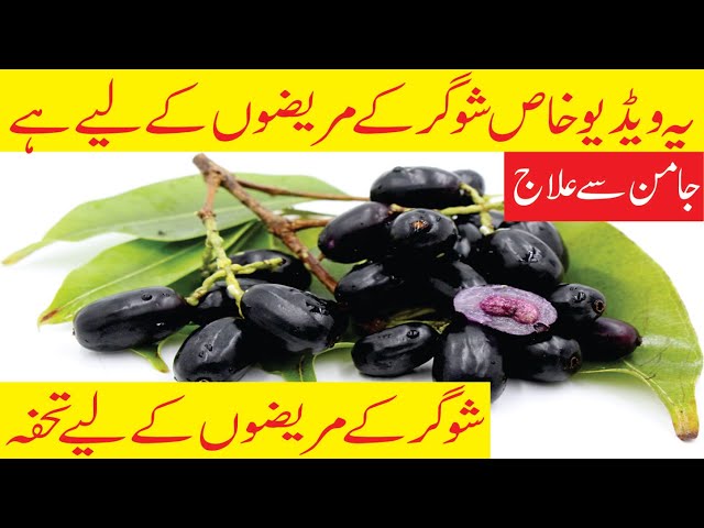 Java Plum Benefits | Jaman Se Sugar Ka Ilaj In Urdu , Hindi| Health Tips | Hakeem Malik Farhan