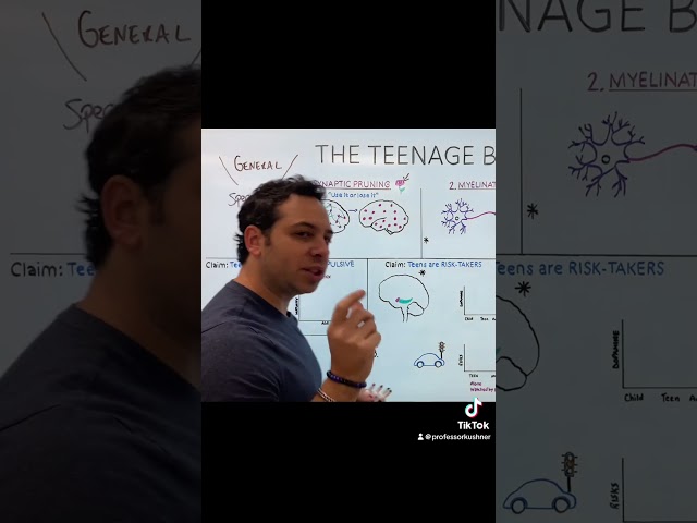 Synaptic Pruning #synapse #science #appsychology #biology