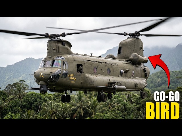 What really happened to the Guns a Go-Go in Vietnam? The full story