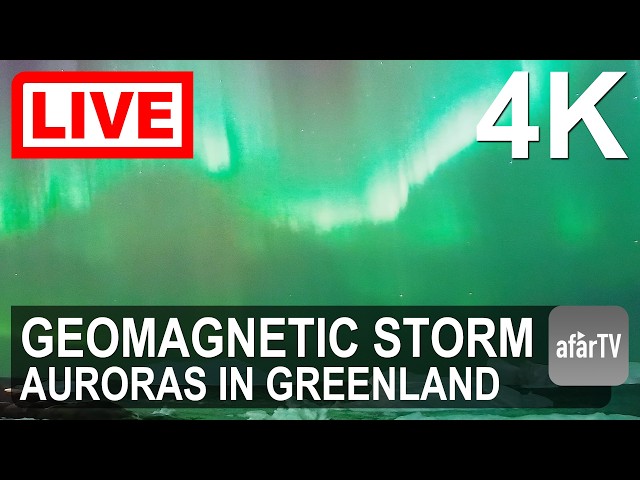 Northern Lights Over Greenland’s Icebergs Tonight | LIVE Aurora