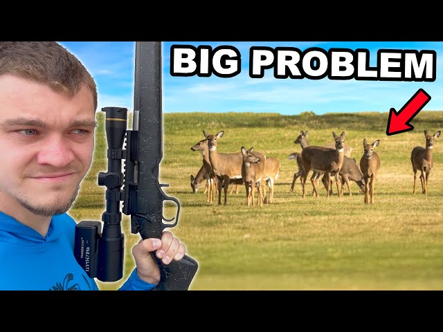 Hunting Down Overpopulated Whitetail Deer!
