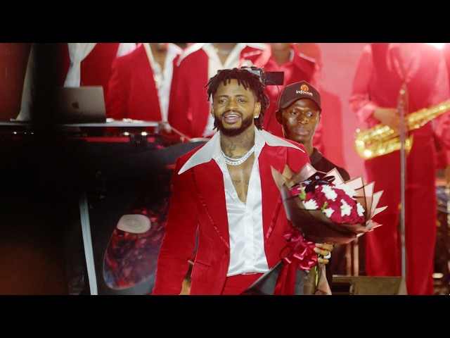 Diamond Platnumz - Natulizana Live In Dodoma (Retro Tour 2026)