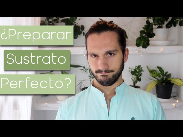 👌Cómo preparar SUSTRATO para plantas🌱 Las * 3 * propiedades BÁSICAS😁