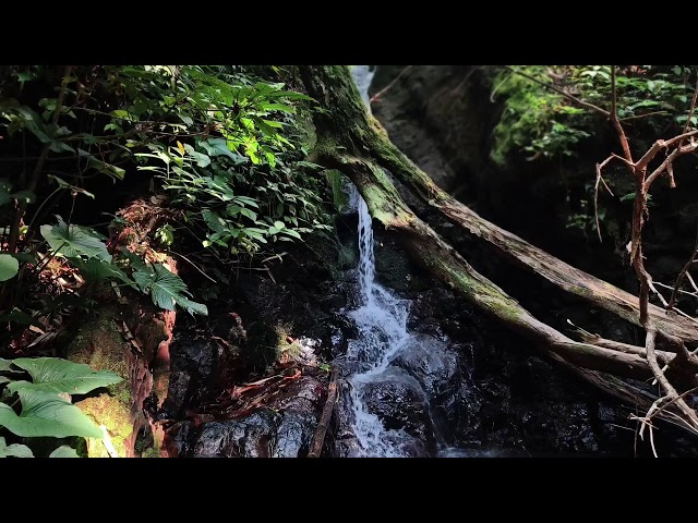 Relaxing Music, Sleep Music, Water Sounds, Meditation Music, Healing Piano for Tranquility and Peace