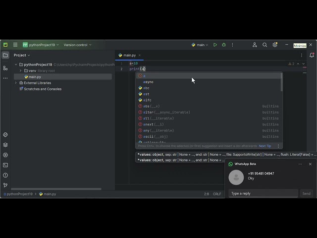 python variable