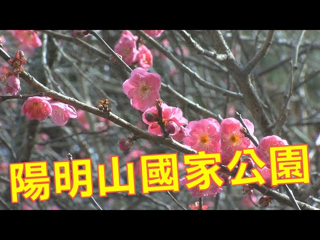 陽明山國家公園-台灣國家公園系列01