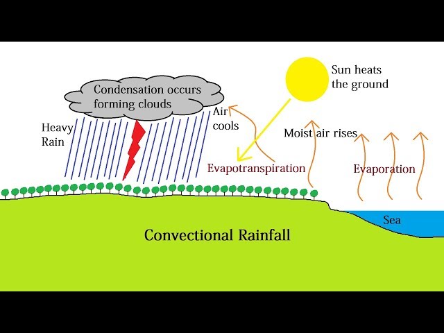 Convectional Rainfall and the Intertropical Convergence Zone