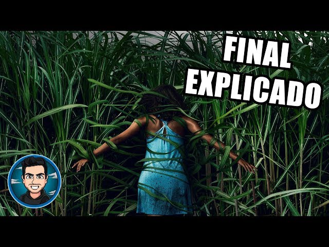 Final Explicado De En La Hierba Alta De Netflix (In The Tall Grass - 2019)