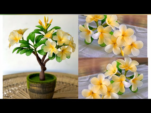 How To Make Nylon Stocking Flower Plumeria | | Bonsai Plumeria