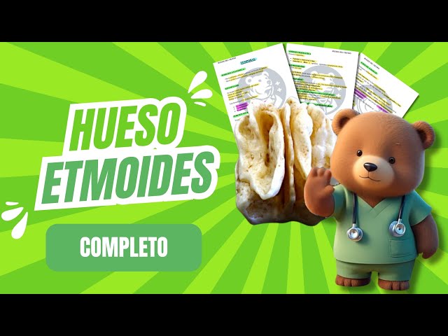 ⚕️ANATOMIA HUESO ETMOIDAL|✅ Rouviere, Latarjet y Testut | 🐻 Hueso completo.