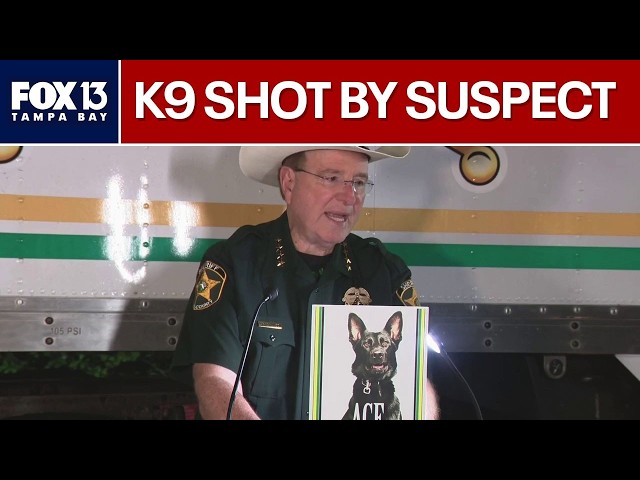 Grady Judd: K9 critical after shootout with suspect