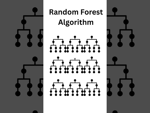 Random Forest Algorithm | Ozone Privacy #machinelearning #algorithmexplained #ai
