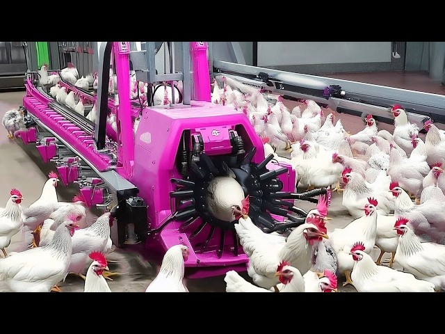 30 Minutes Satisfying Video Working & Exciting Factory Machines, Ingenious Tool, Admirable Worker▶20