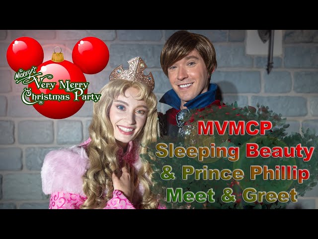 8K MVMCP Sleeping Beauty & Prince Phillip Meet & Greet in Magic Kingdom VR180 3D
