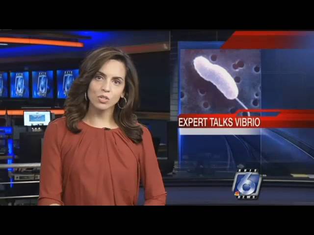 Stephania Jimenez Anchor/Field Reporting Reel 2016